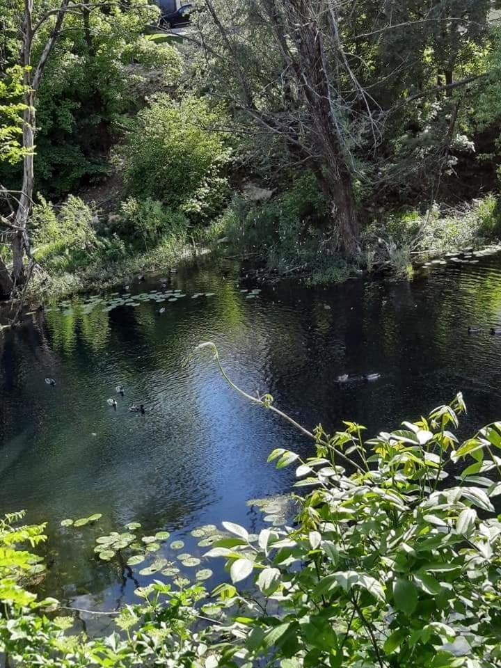 Gospic Riverside Apartment Dış mekan fotoğraf