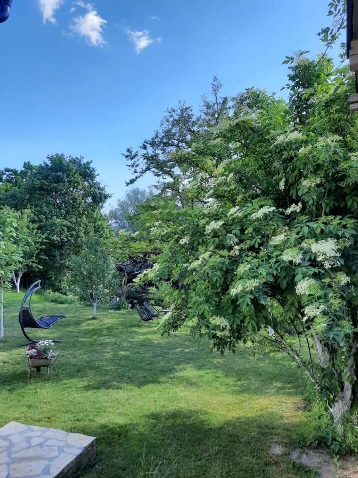 Gospic Riverside Apartment Dış mekan fotoğraf