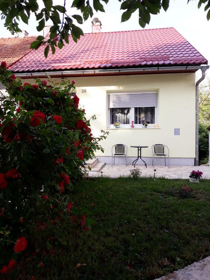Gospic Riverside Apartment Dış mekan fotoğraf